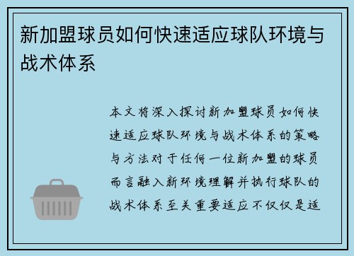 新加盟球员如何快速适应球队环境与战术体系